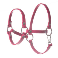 The Hobby Horse LarDen Halter raspberry (size M) features bright pink leatherette with silver metal rings and fastenings—an ideal accessory for your hobby horse, shown here against a white background.