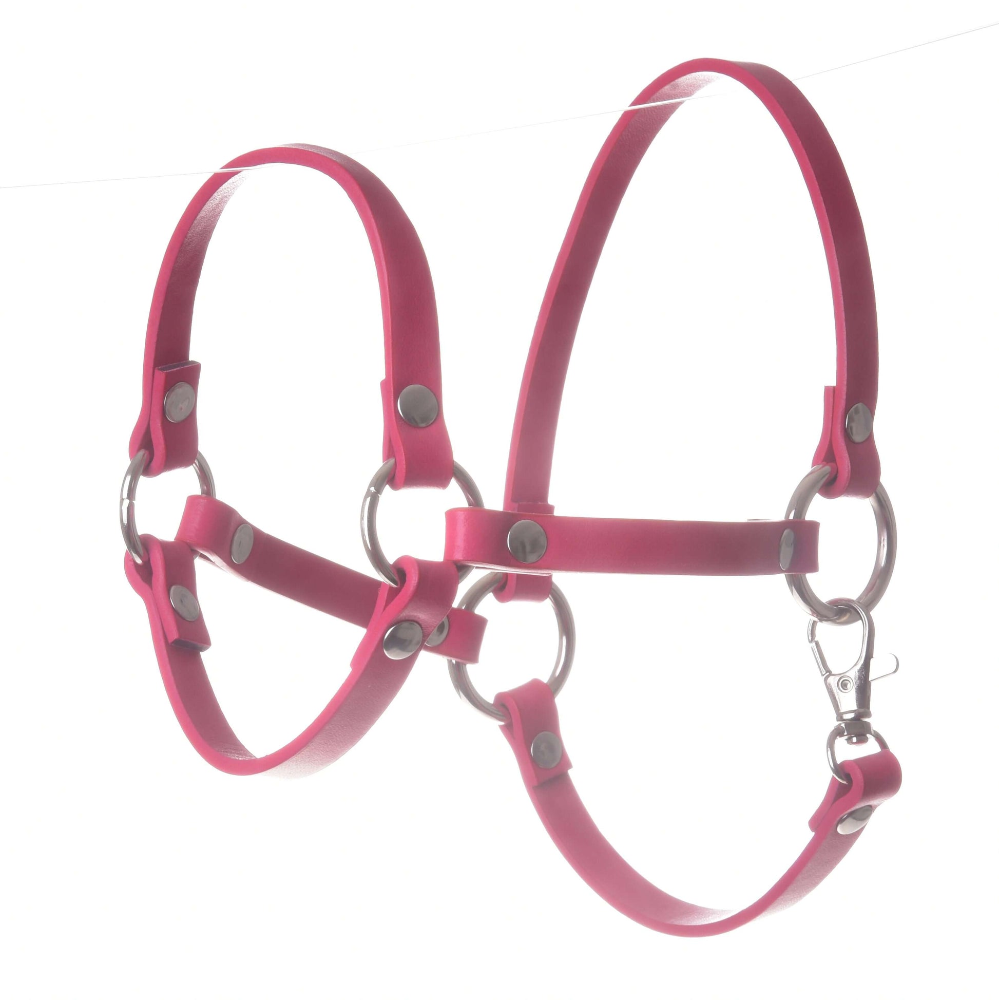 Licol framboise (taille M)