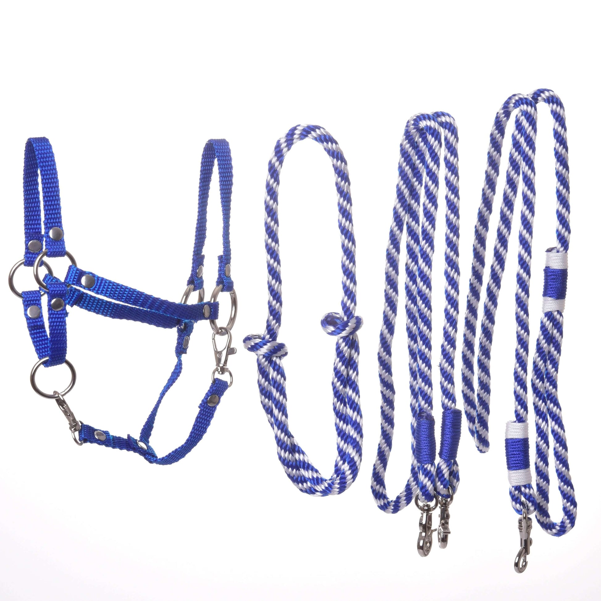 Set Start Blau (Halter, Halsring, Führstrick, Zügel)