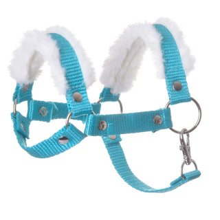 Licol turquoise avec fourrure