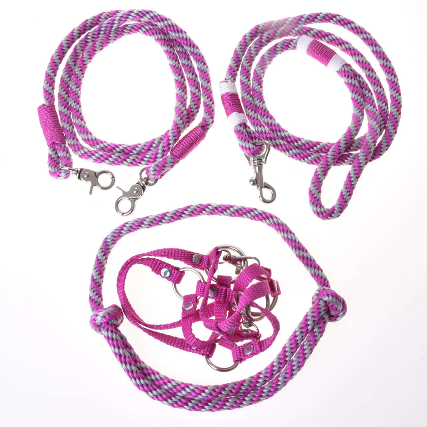 Set Start Pink (Halfter + Halsring + Führstrick + Zügel)