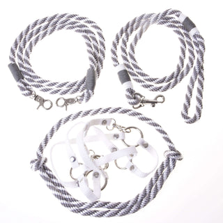Ensemble Départ Argent (licol + cordelette + longe + rênes)