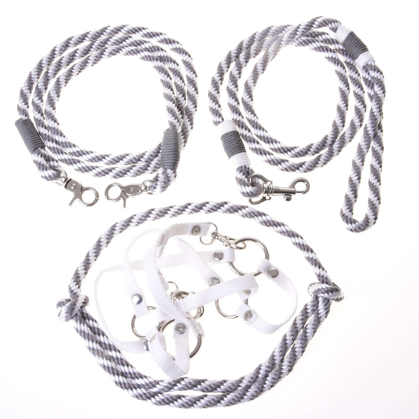 Set Start Silber (Halfter + Halsring + Führstrick + Zügel)