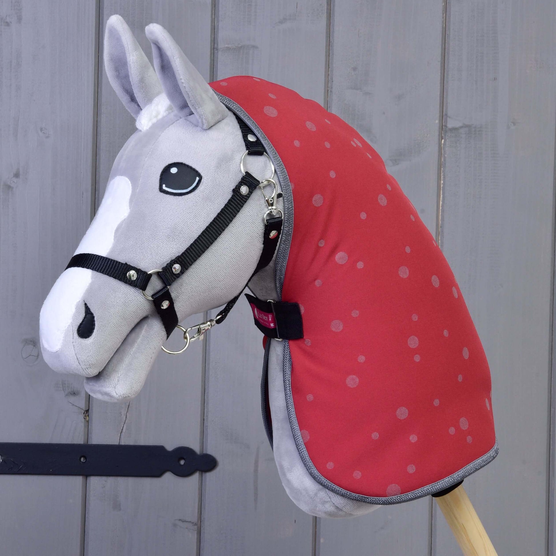 Stalldecke Raspberry