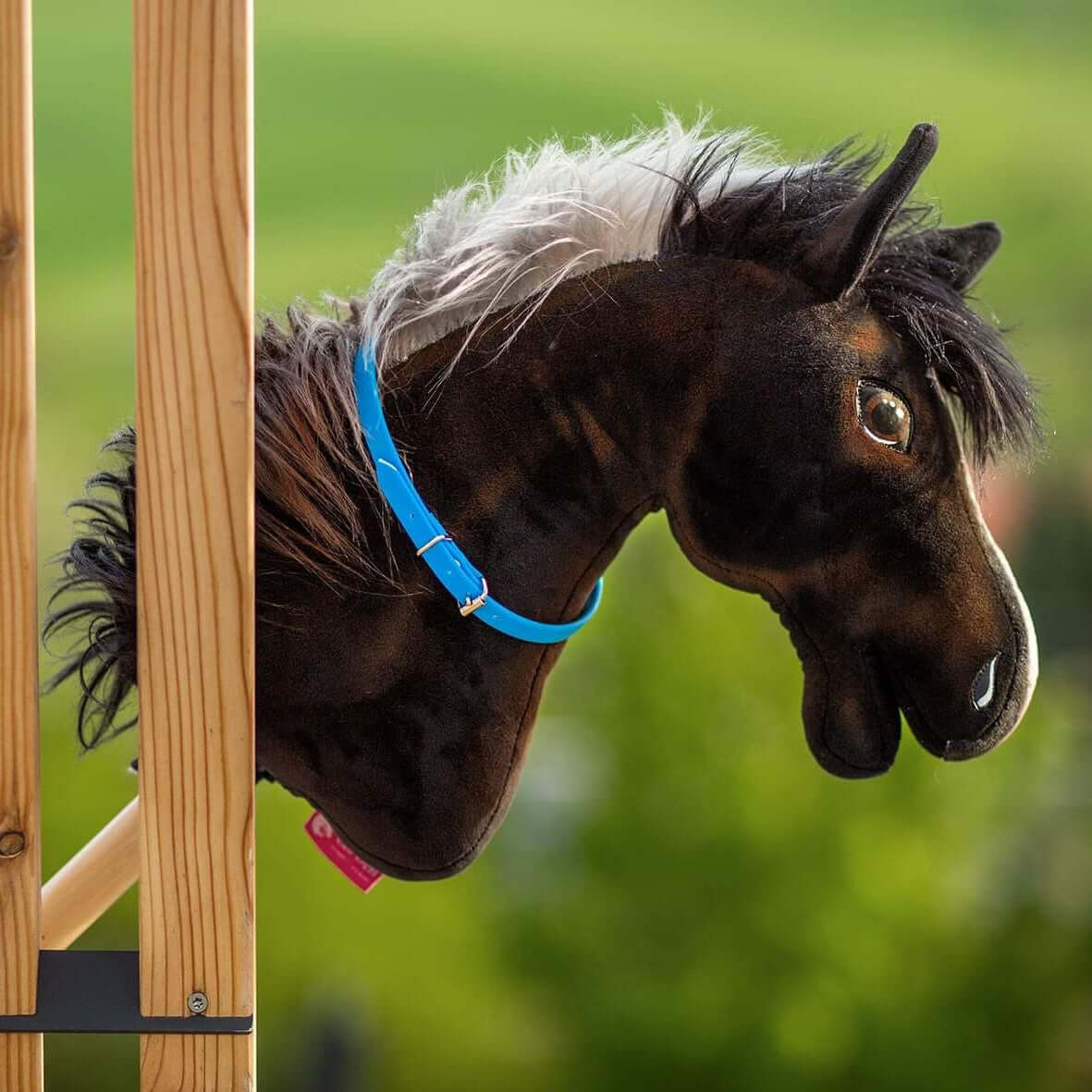 Nahaufnahme eines schwarzen Hobby Horse Kopfes mit blauem Halfter und weißer Mähne, befestigt an einer Holzstruktur, vor einem unscharfen grünen Hintergrund im Freien – perfekt für Hobby Horsing Fans.