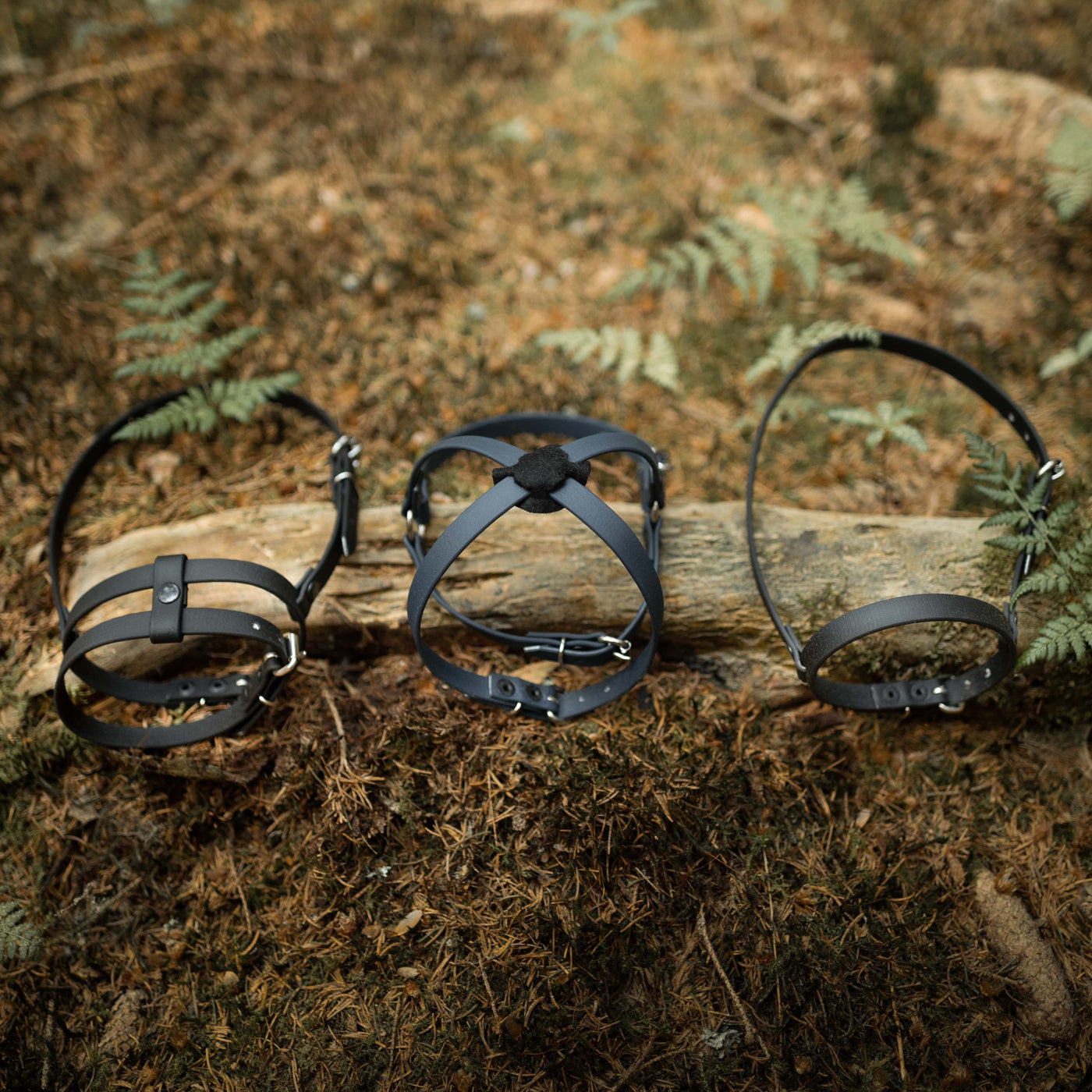 Drei schwarze Kopfgeschirre aus Leder, perfekt für Hobby Horsing, sind auf dem Waldboden vor einem umgefallenen Baumstamm ausgelegt, umgeben von braunen Blättern und grünen Farnen.