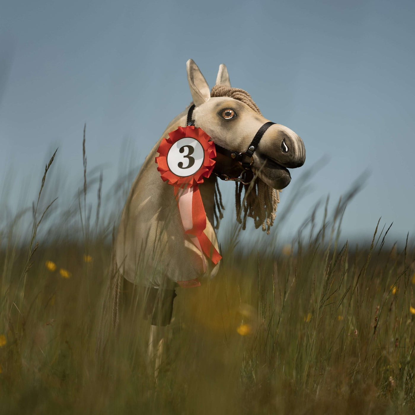 Ein Favorit im Hobby Horsing: Dieses Hobby Horse mit grauem Kopf und schwarzem Zaumzeug steht in hohem Gras und trägt eine rot-weiße Schleife mit der Nummer 3. Im Hintergrund ist ein unscharfes Feld unter strahlend blauem Himmel zu sehen.