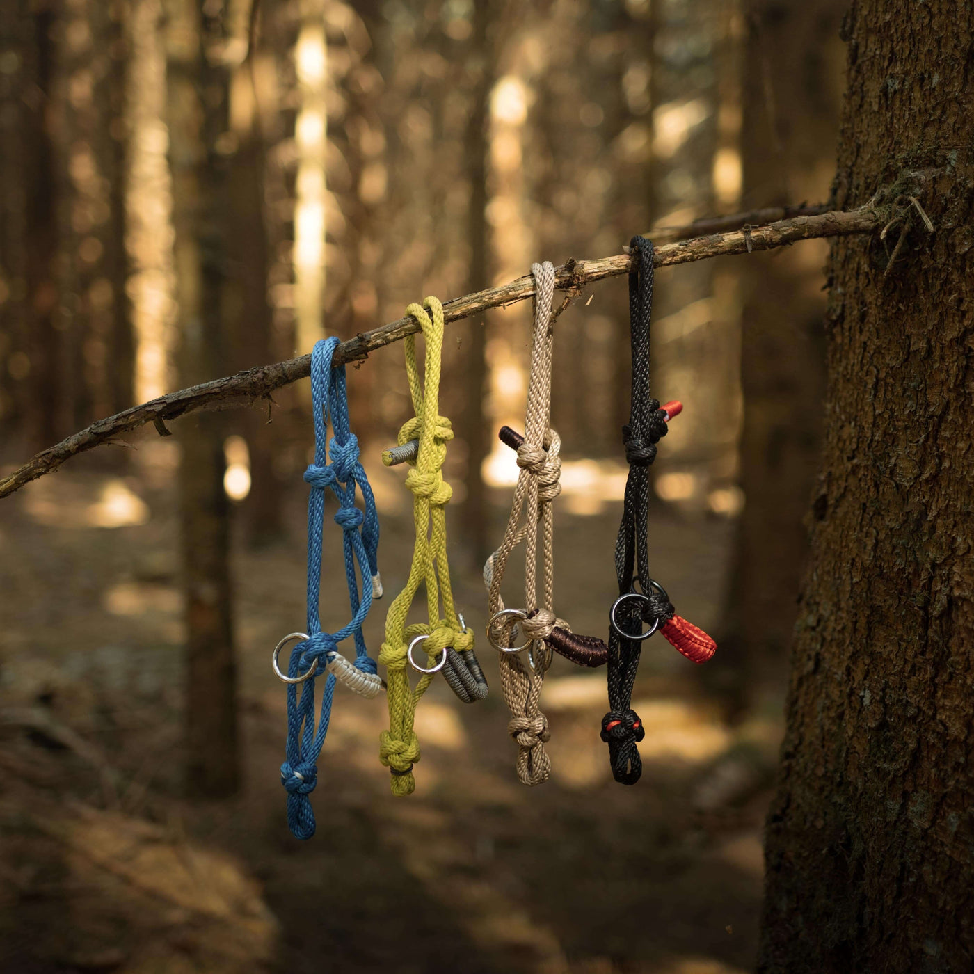 Vier Paracord-Schlüsselanhänger in verschiedenen Farben, jeweils mit Metallring, hängen an einem Ast in einem sonnenbeschienenen Wald – perfekte Accessoires für jeden Hobby Horsing Fan. Die Kordeln sind blau, gelb, beige und schwarz; hohe Bäume verschwimmen sanft im Hintergrund.