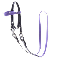 The Hobby Horse LarDen Complete bridle without noseband in light purple features black and purple leatherette, silver metal clasps, adjustable straps, and comes with a matching purple leash with detachable reins, shown on a white background.