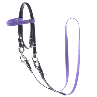 Bride complète sans muserolle Violet clair