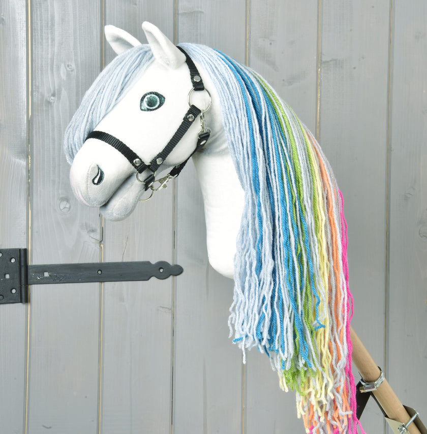 Hobby Horse Rainbow avec licol bleu