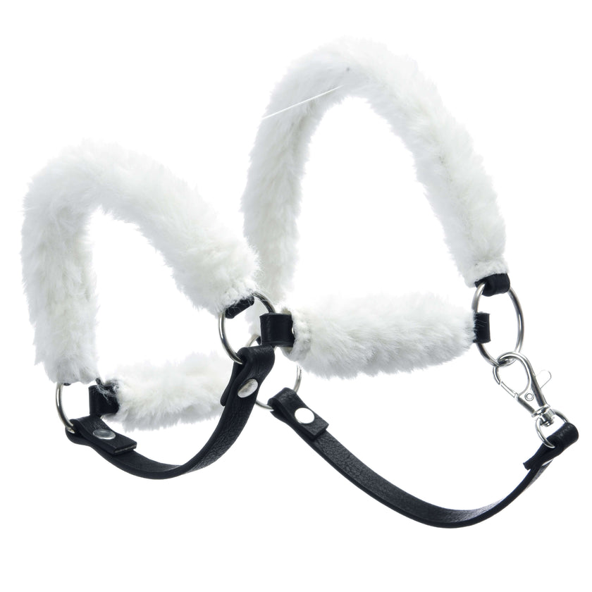 Licol en fourrure Teddy Classique