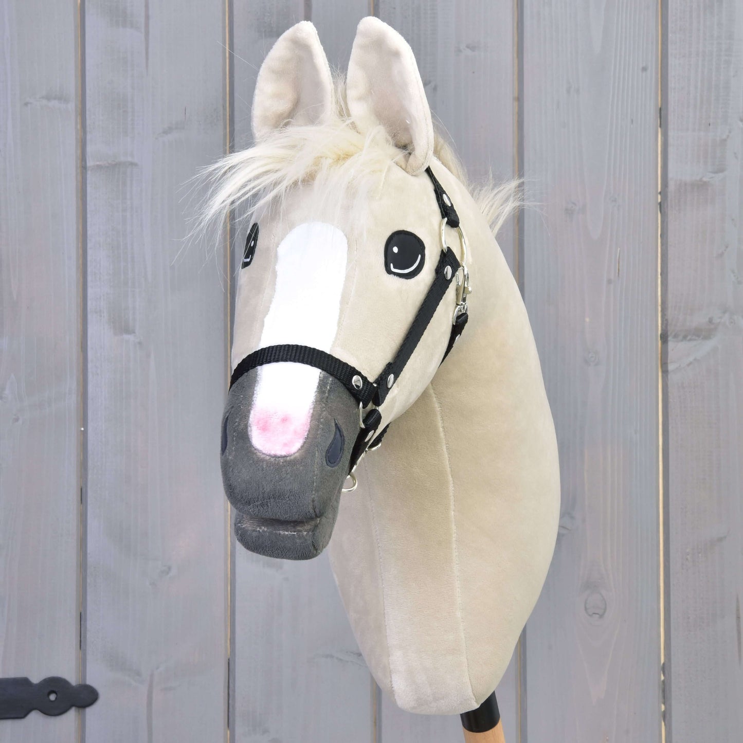 Hobby Horse Pixie avec licol noir de Hobby Horse LarDen, avec robe beige, liste blanche, crinière claire et léger éclat métallique, devant une clôture en bois grise.