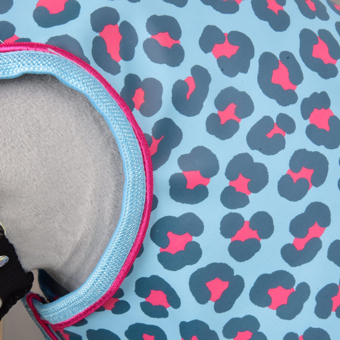 Nahaufnahme der Regendecke Blue Leopard von Hobby Horse LarDen mit hellblauem Stoff mit dunkelblauem und pinkem Leopardenmuster und hellblauer Einfassung – ideal für Ausritte bei jedem Wetter.