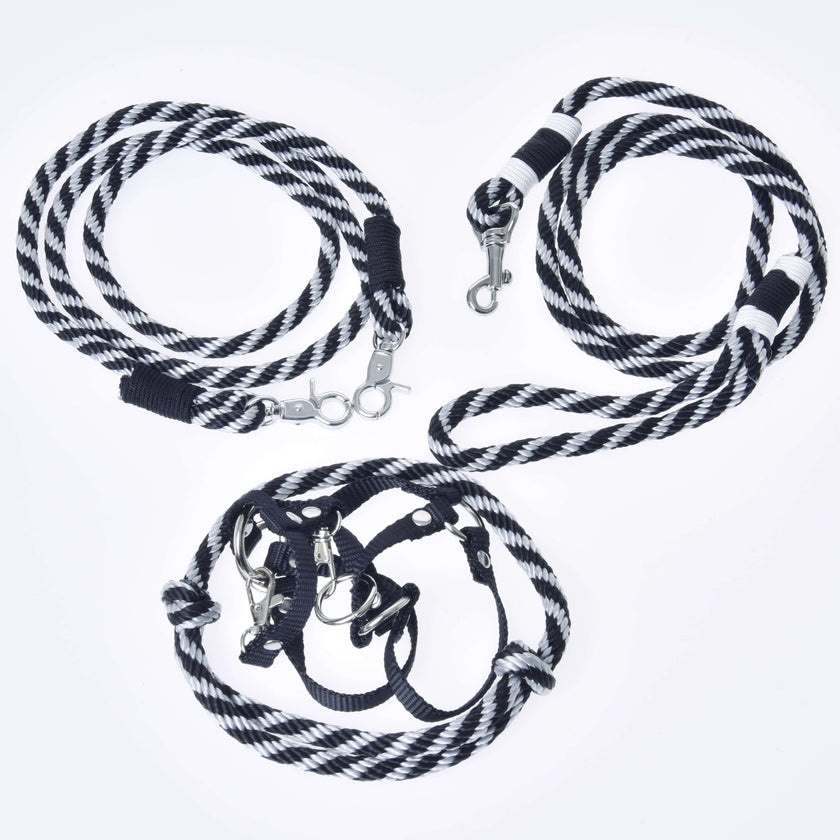 Set Start Schwarz (Halfter + Halsring + Führstrick + Zügel)