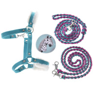 The Set Perfect Combination Turquoise by Hobby Horse LarDen features a turquoise halter with fur padding, a spotted horse badge, and two braided lead ropes in pink, turquoise, and black with silver clasps on a white background.