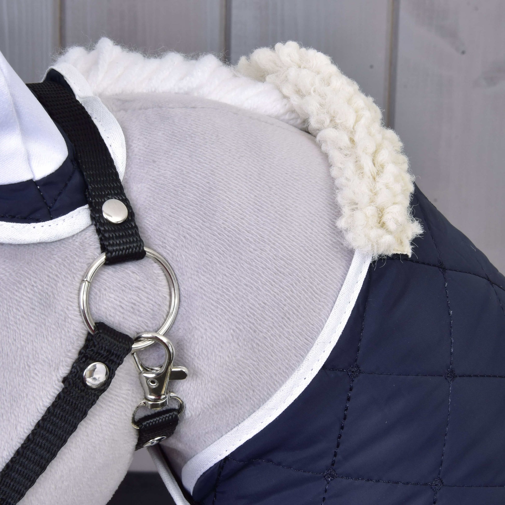 Ensemble Thermo Bleu
