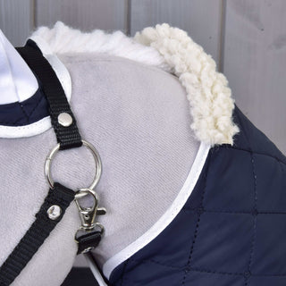 Ensemble Thermo Bleu