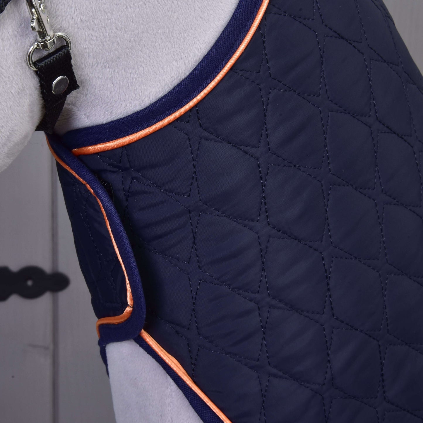 Nahaufnahme eines Hundes, der den Mantel Set Winner von Hobby Horse LarDen trägt, in dunkelblau gestepptem Stil mit orangefarbener Paspelierung, befestigt mit einem schwarzen Riemen und einer Metallschnalle, wobei das helle Fell des Hundes zu sehen ist.