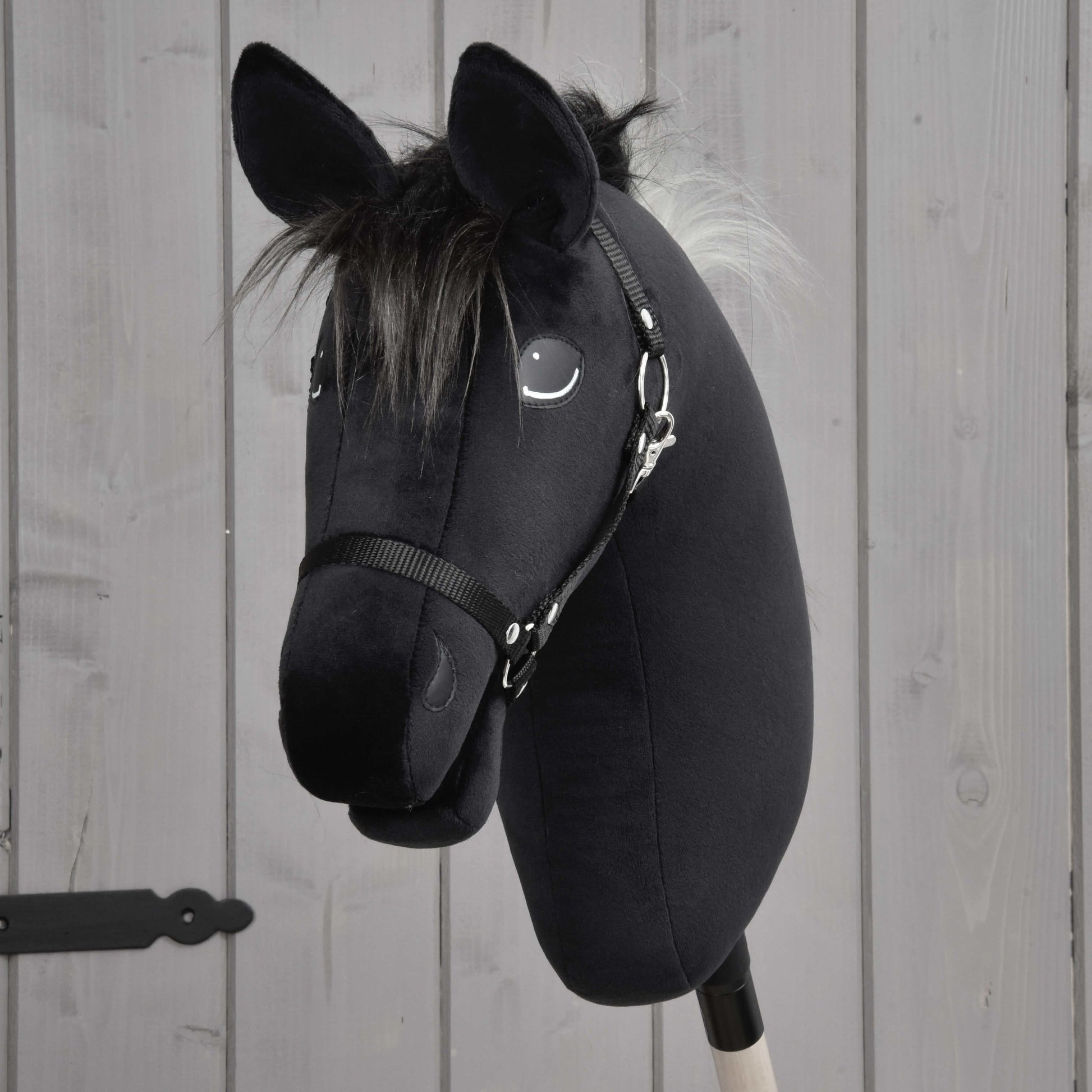 Hobby Horse Bond mit Schwarzem Halfter