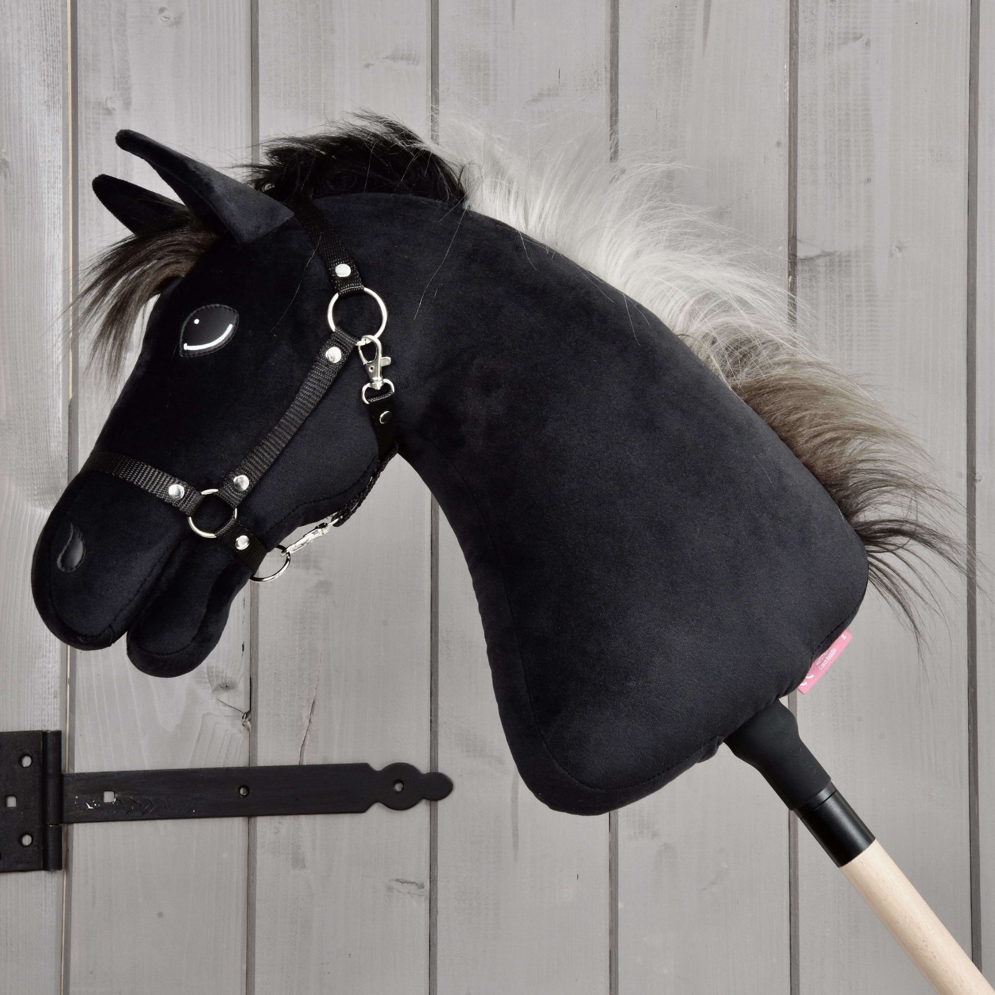 Hobby Horse Bond mit Schwarzem Halfter
