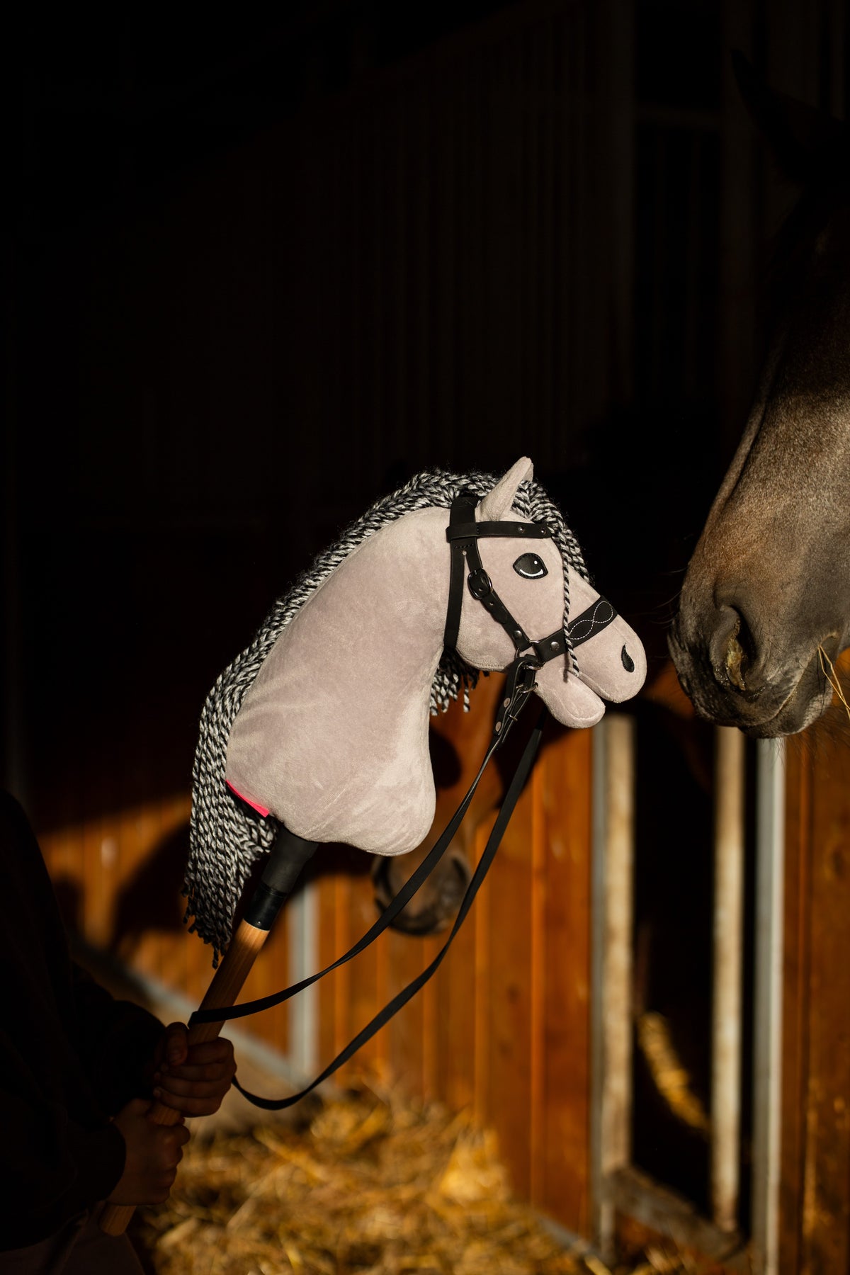 Detail photo: the head of the Hobby Horse Caesar with Black Halter by Hobby Horse LarDen in front of a horse box - grey plush, black and white yarn mane - shown here with the Complete bitless bridle, decorated, and its reins.