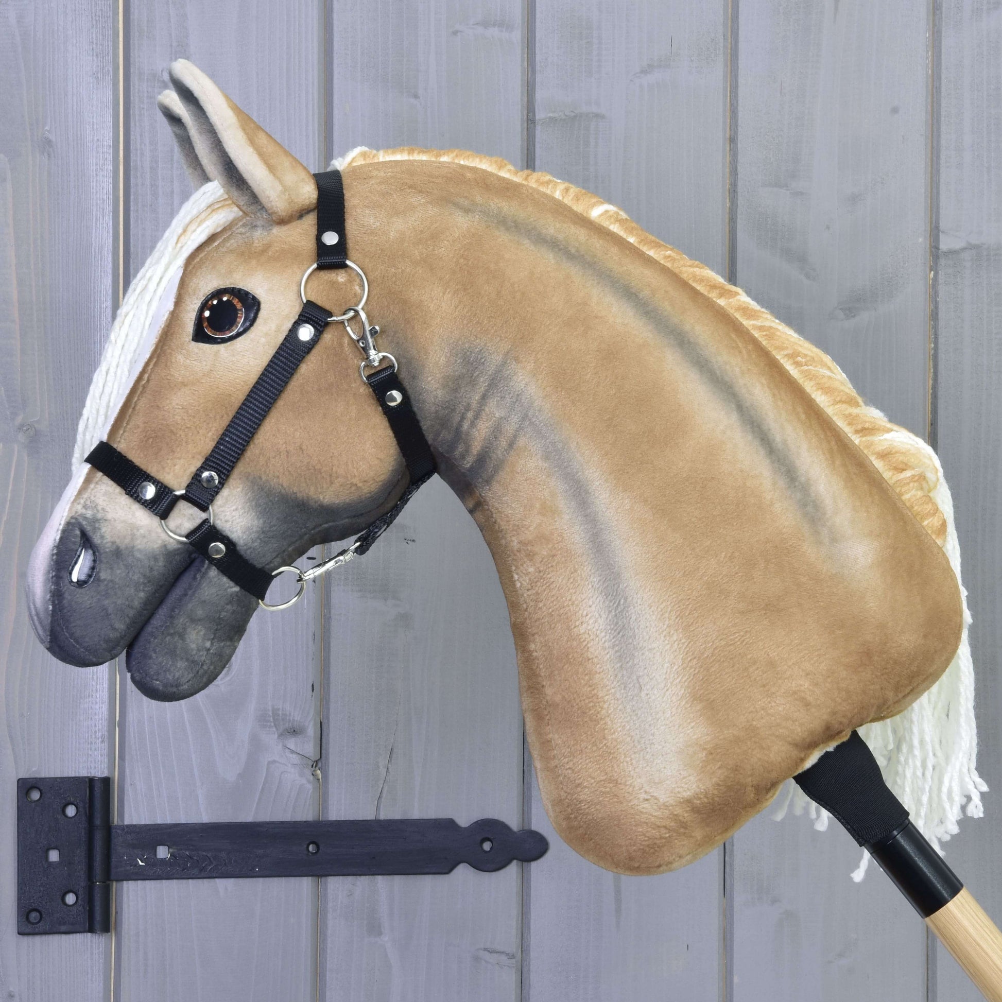 Hobby Horse Connie avec licol noir