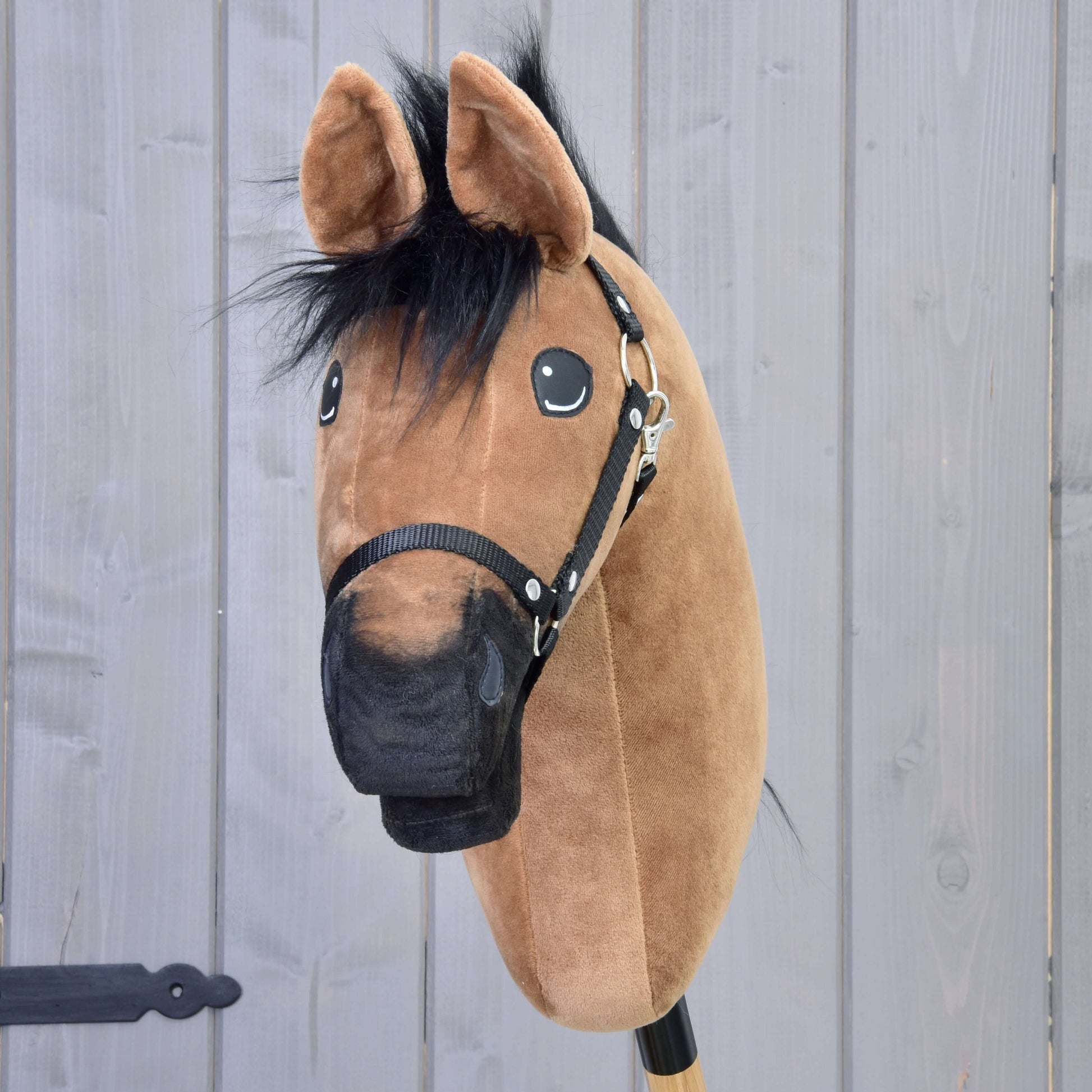 Hobby Horse Cookie avec licol noir