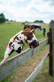 Hobby Horse Dakota mit schwarzem Halfter von Hobby Horse LarDen hängt über einem hölzernen Koppelzaun, dahinter ein grasendes Pferd und eine Person im Feld – braun-weiß gescheckter Plüschkopf, weiße Garnmähne, blaues Auge – hier mit dem York Knotenhalfter