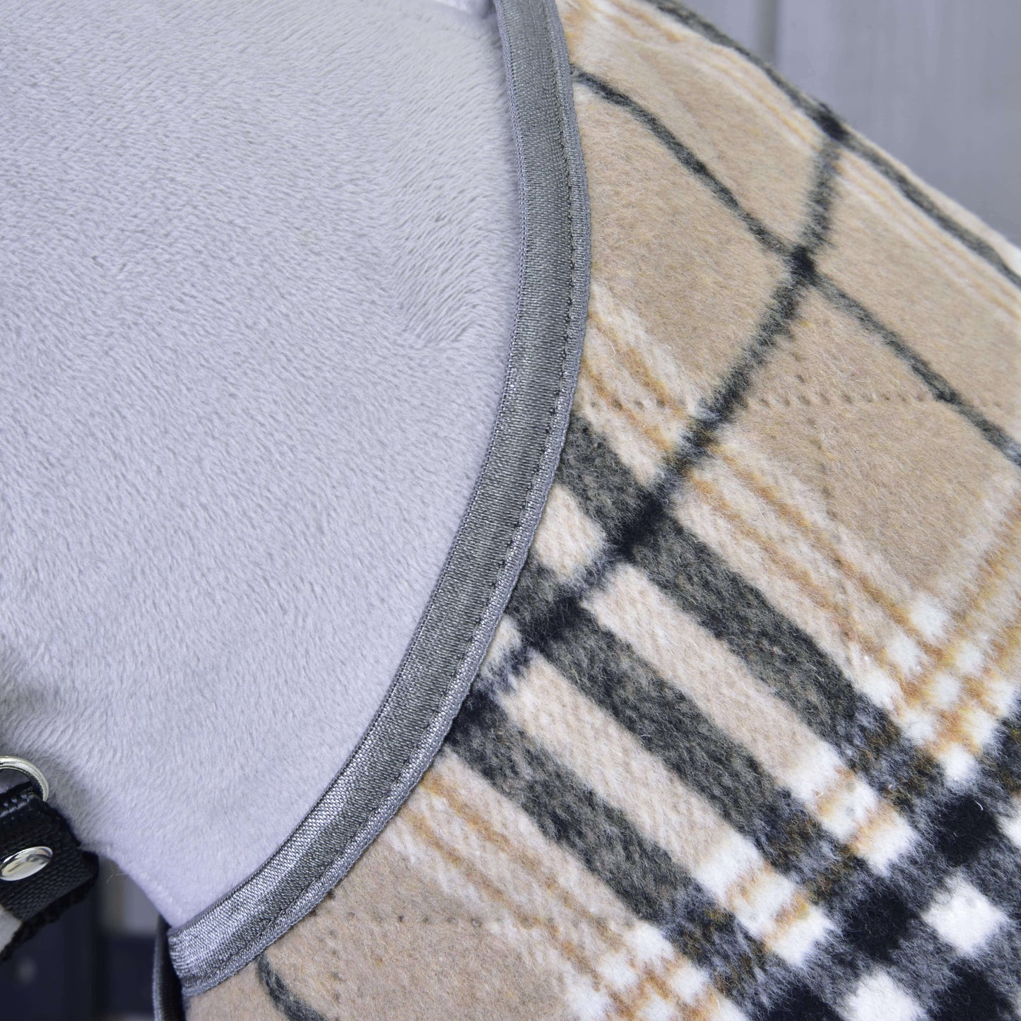 Nahaufnahme eines hellgrauen Hundes, der Hobby Horse LarDen „Decke Cremo England“ trägt, einen beige-schwarz-weiß karierten Mantel mit grauer Einfassung und schwarzem Riemen mit silbernem Ring für zusätzlichen Insektenschutz.