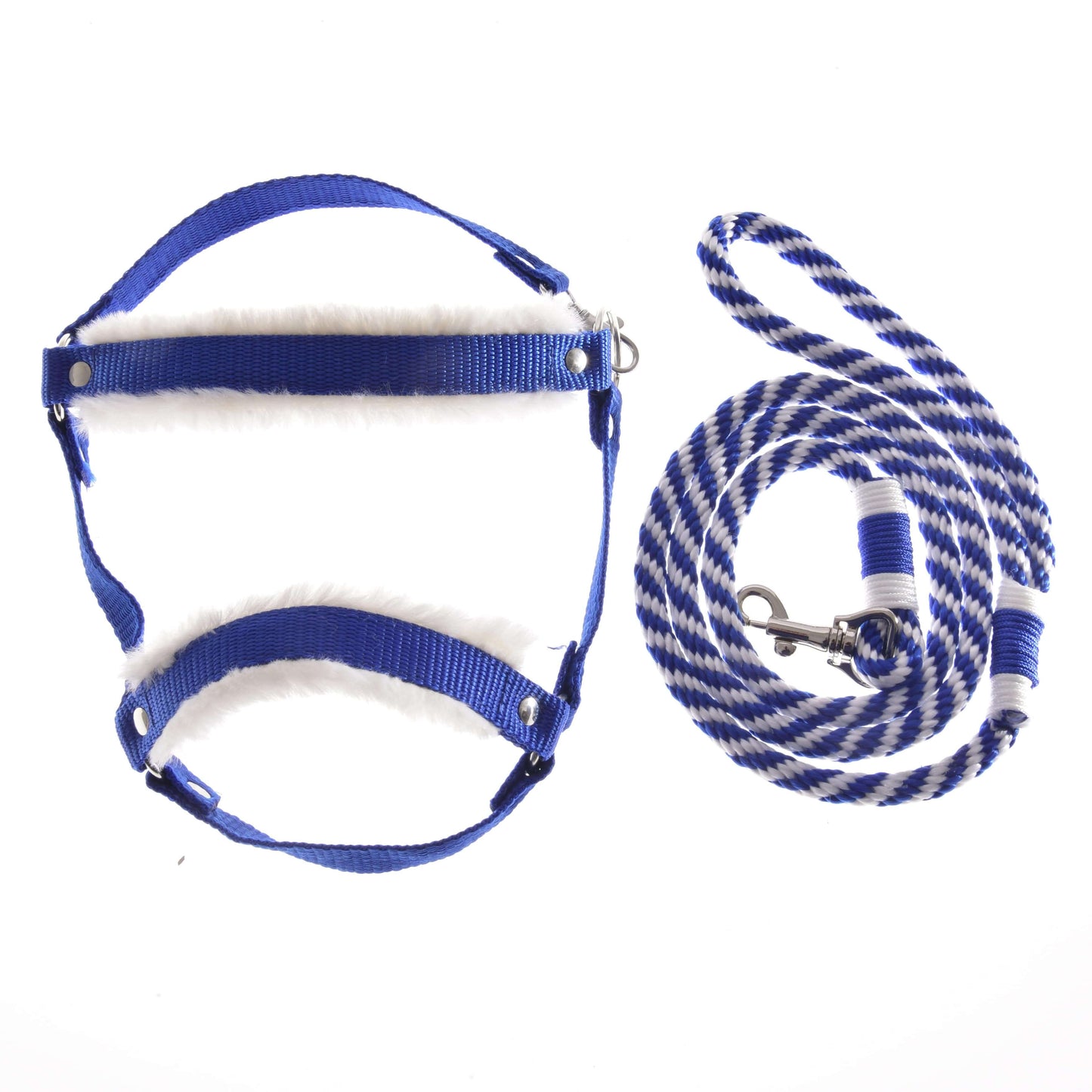 Hobby Horse LarDen Set Essential Blue mit blau-weiß gepolstertem Geschirr, inspiriert von Pferdehalftern, zusammen mit einer passenden gestreiften Leine, beide ordentlich vor weißem Hintergrund präsentiert.