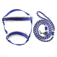 The Hobby Horse LarDen Set Essential Blue features a blue and white padded harness inspired by horse halters, paired with a matching striped leash—both neatly displayed on a white background.