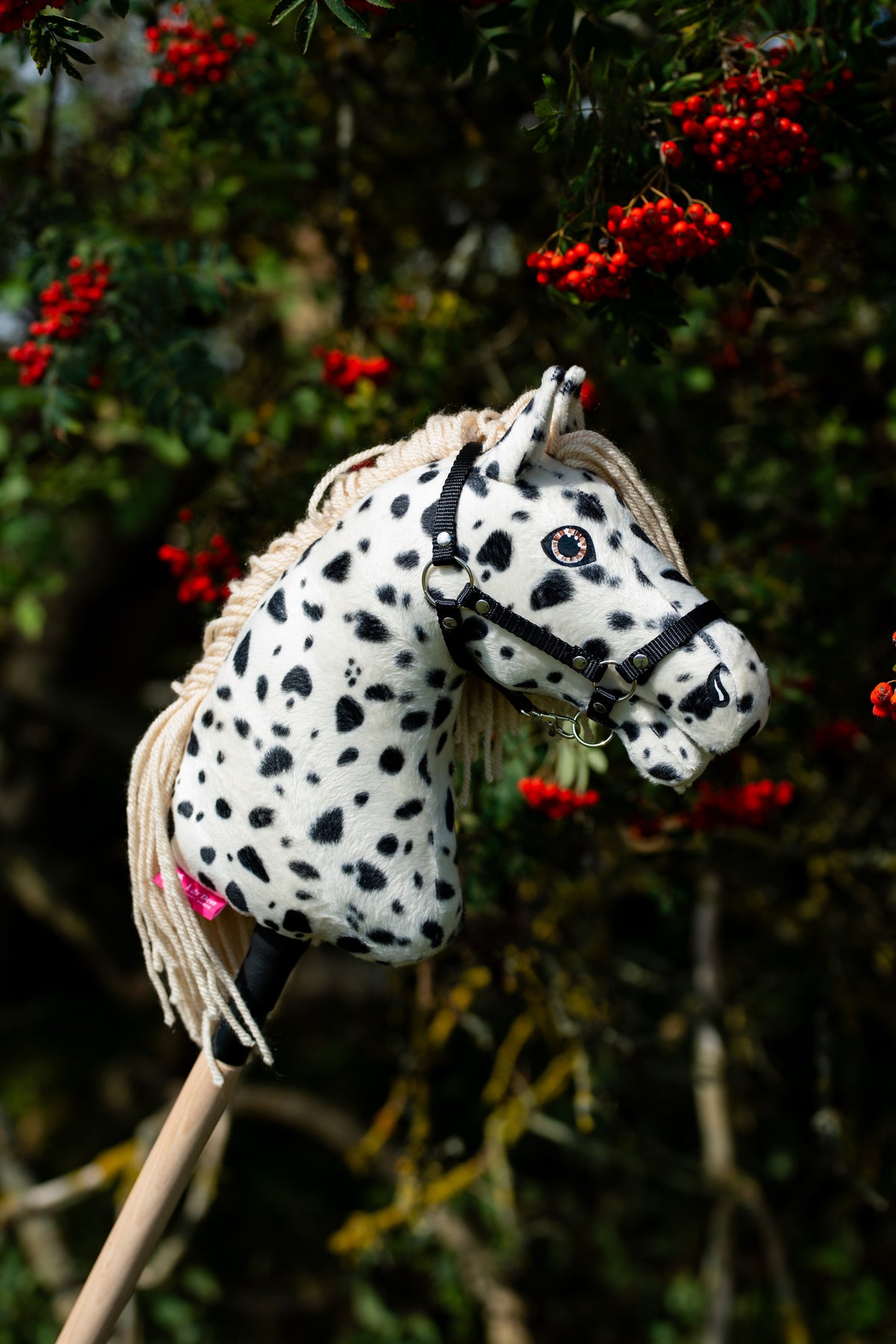 Hobby Horse Lord Valentine mit schwarzem Halfter von Hobby Horse LarDen vor einem Ebereschenbaum mit Büscheln roter Beeren – weißer Plüschkopf mit schwarzen Leopardenflecken, cremefarbene Garnmähne, schwarzes Halfter mit Silberbeschlägen