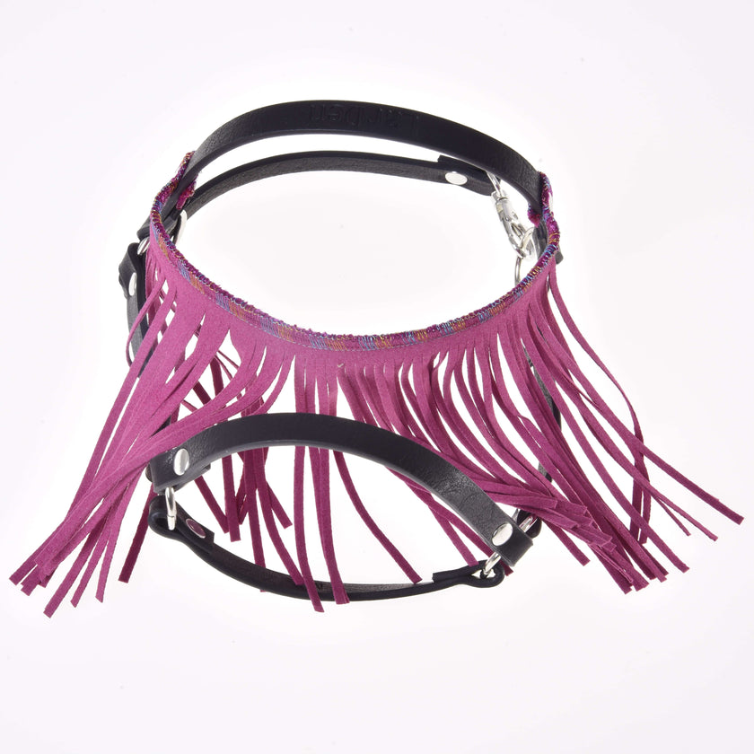 Licol noir avec franges roses