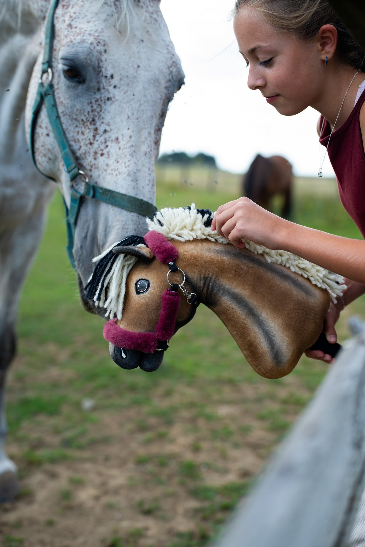 Echtes graues Pferd senkt seinen Kopf zum Hobby Horse Ozzy mit schwarzem Halfter von Hobby Horse LarDen, das ein Mädchen in bordeauxfarbenem Oberteil hält – brauner Plüschkopf mit dunkler Schattierung, cremefarbene und schwarze Garnmähne – mit gefüttertem Teddy Maroon Halfter