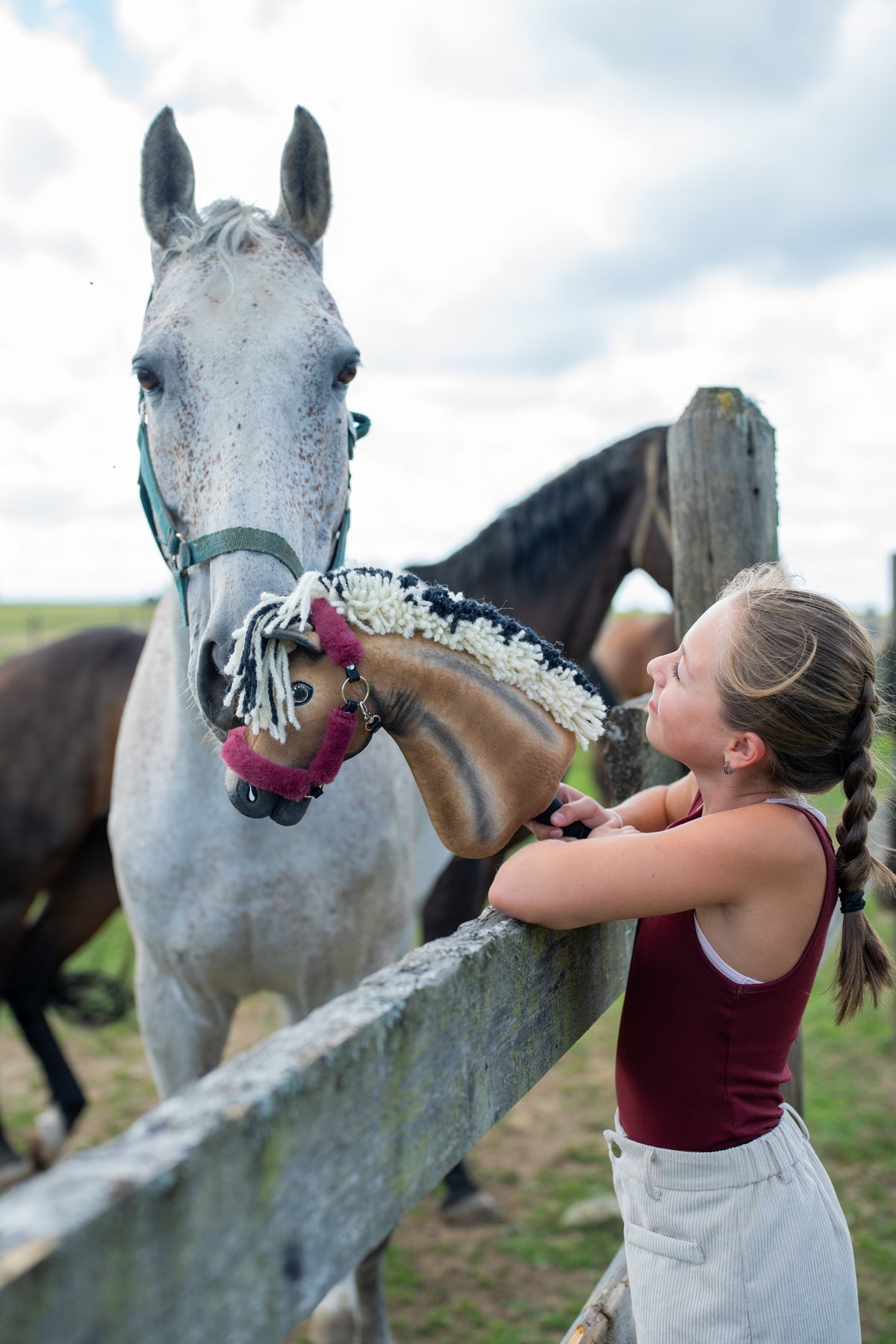 Mädchen in kastanienbraunem Oberteil lehnt über einen Koppelzaun und hält das Hobby Horse Ozzy mit schwarzem Halfter von Hobby Horse LarDen zu einem echten grauen Pferd hoch – brauner Plüschkopf, cremefarbene und schwarze Garnmähne – hier mit dem fellgefütterten Halfter Teddy Maroon gezeigt