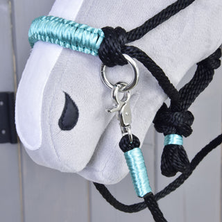 Ensemble de cordes Turquoise