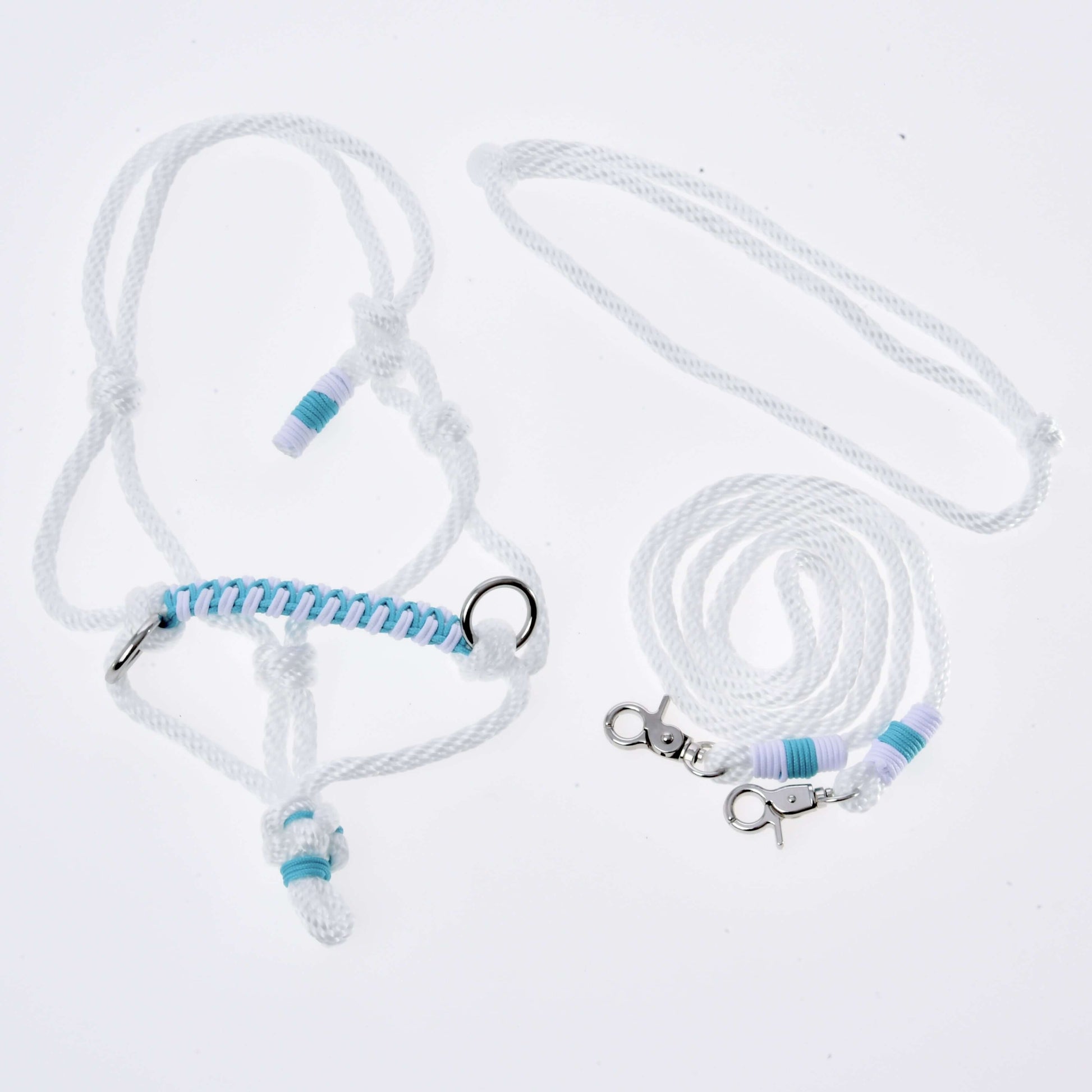 Ensemble de corde Reine Blanche