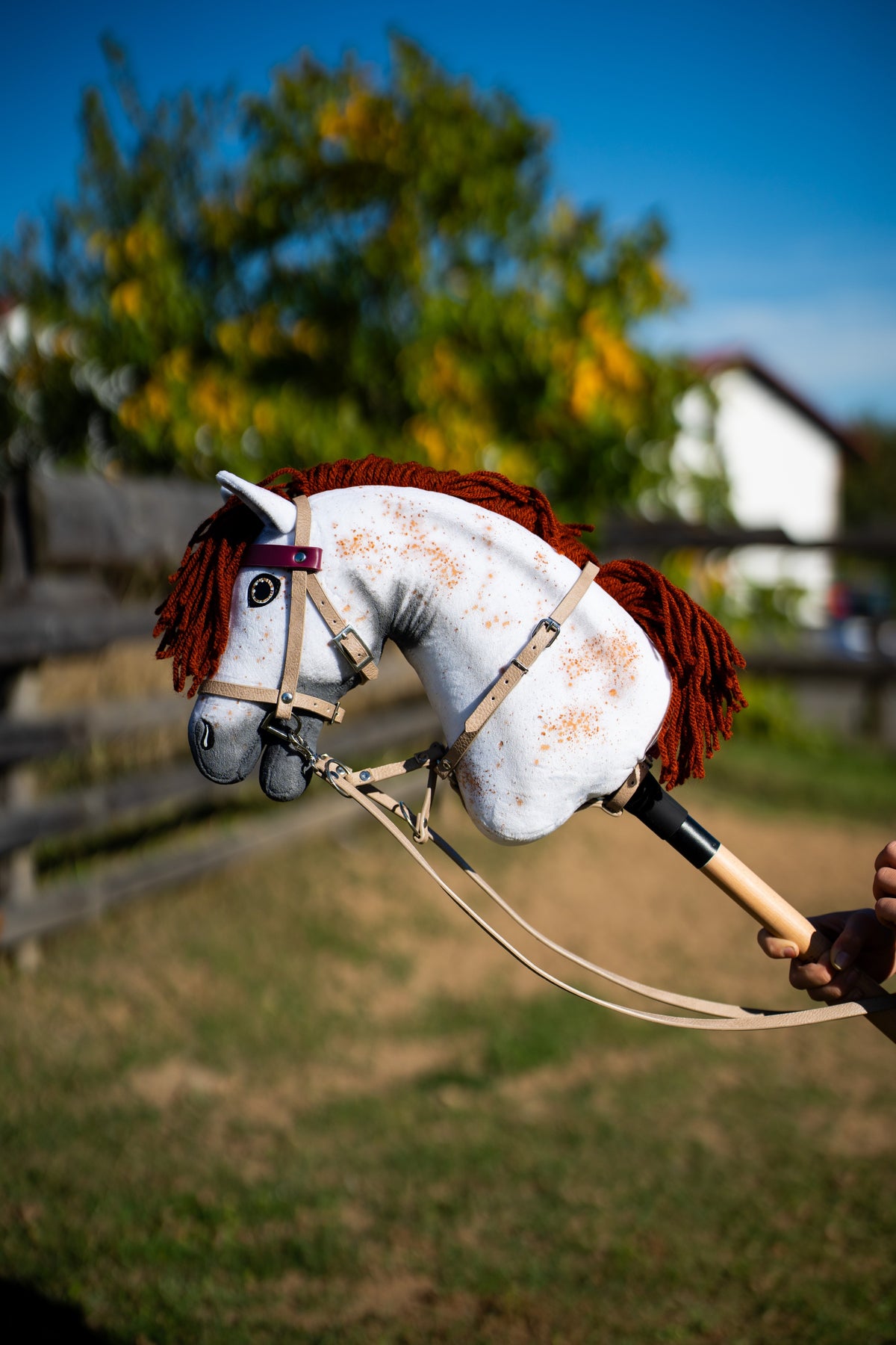 Detail photo: the head of the Hobby Horse Rufus with Black Halter by Hobby Horse LarDen in front of a paddock fence and autumn trees - white Appaloosa-spotted plush, red yarn mane - shown here with the Bordeaux leatherette set - bridle, reins and martingale.