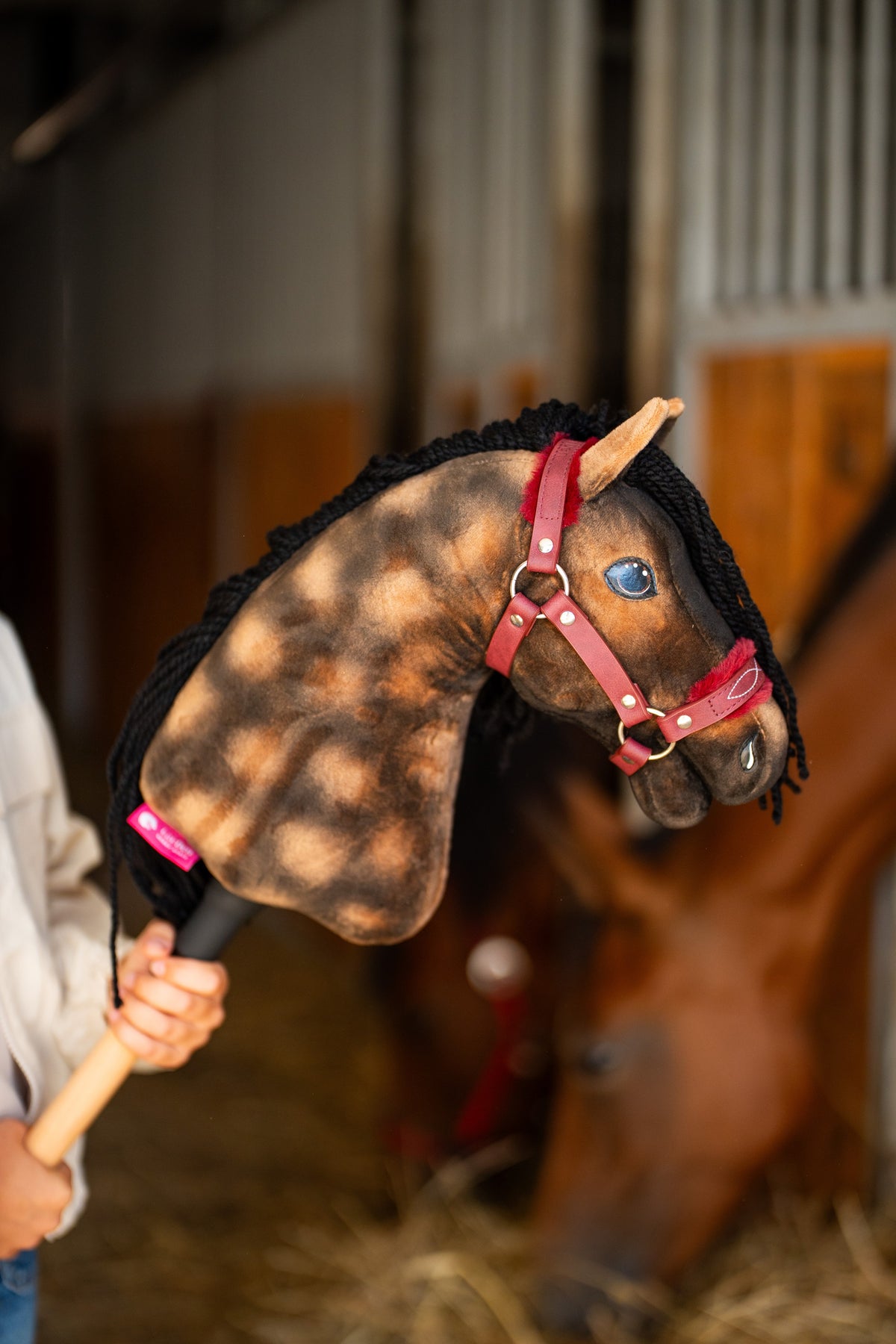 Kopf des Hobby Horse Stormy mit schwarzem Halfter von Hobby Horse LarDen in einem Stall, dahinter unscharf ein echtes braunes Pferd – brauner Plüsch mit Apfelschimmelung, blaues Auge, schwarze Garnmähne – mit Burgundy Fellhalfter aus Kunstleder