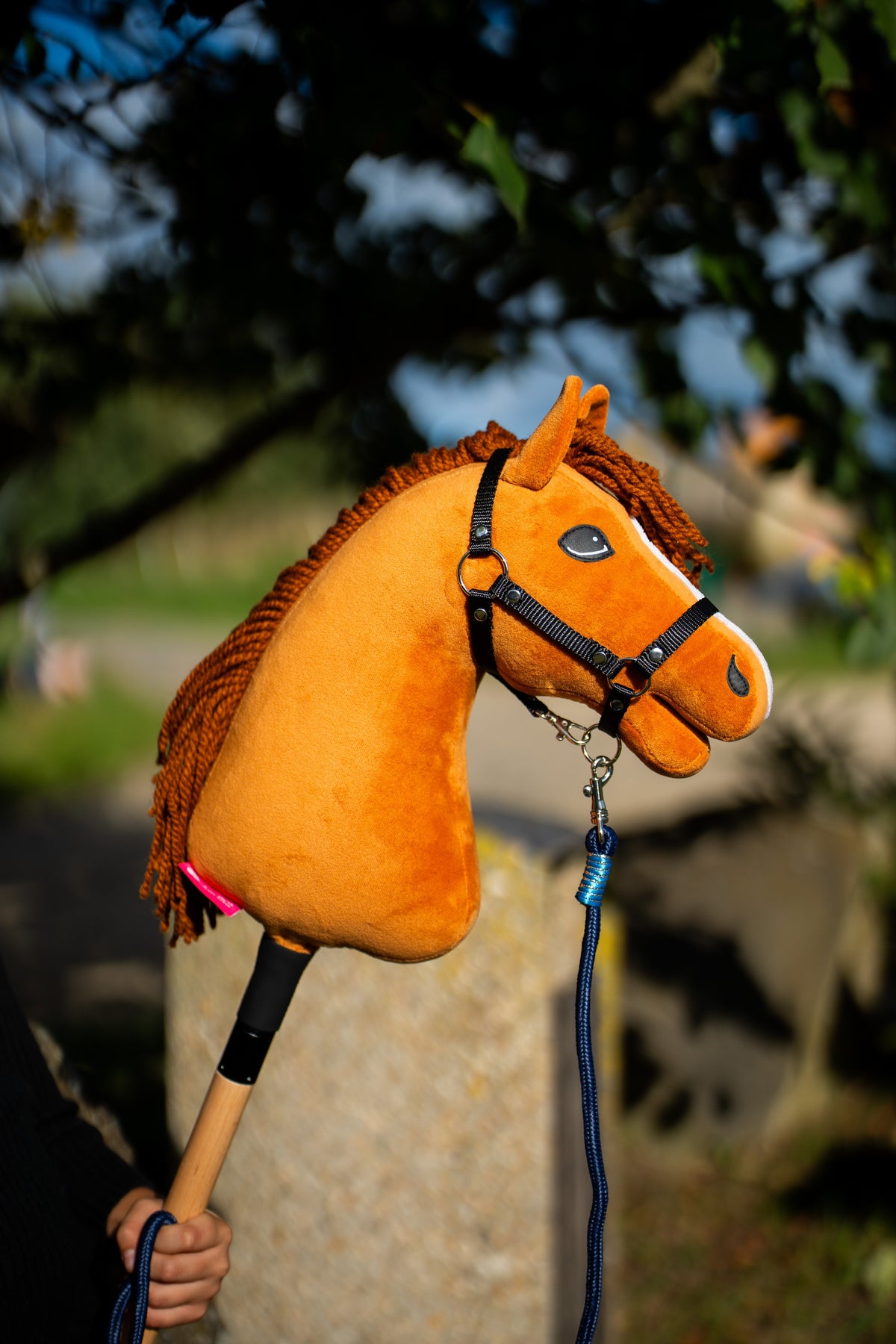 Hobby Horse Seilführstrick Stripe Blues an einem fuchsfarbenen Hobby Horse mit schwarzem Halfter im Freien
