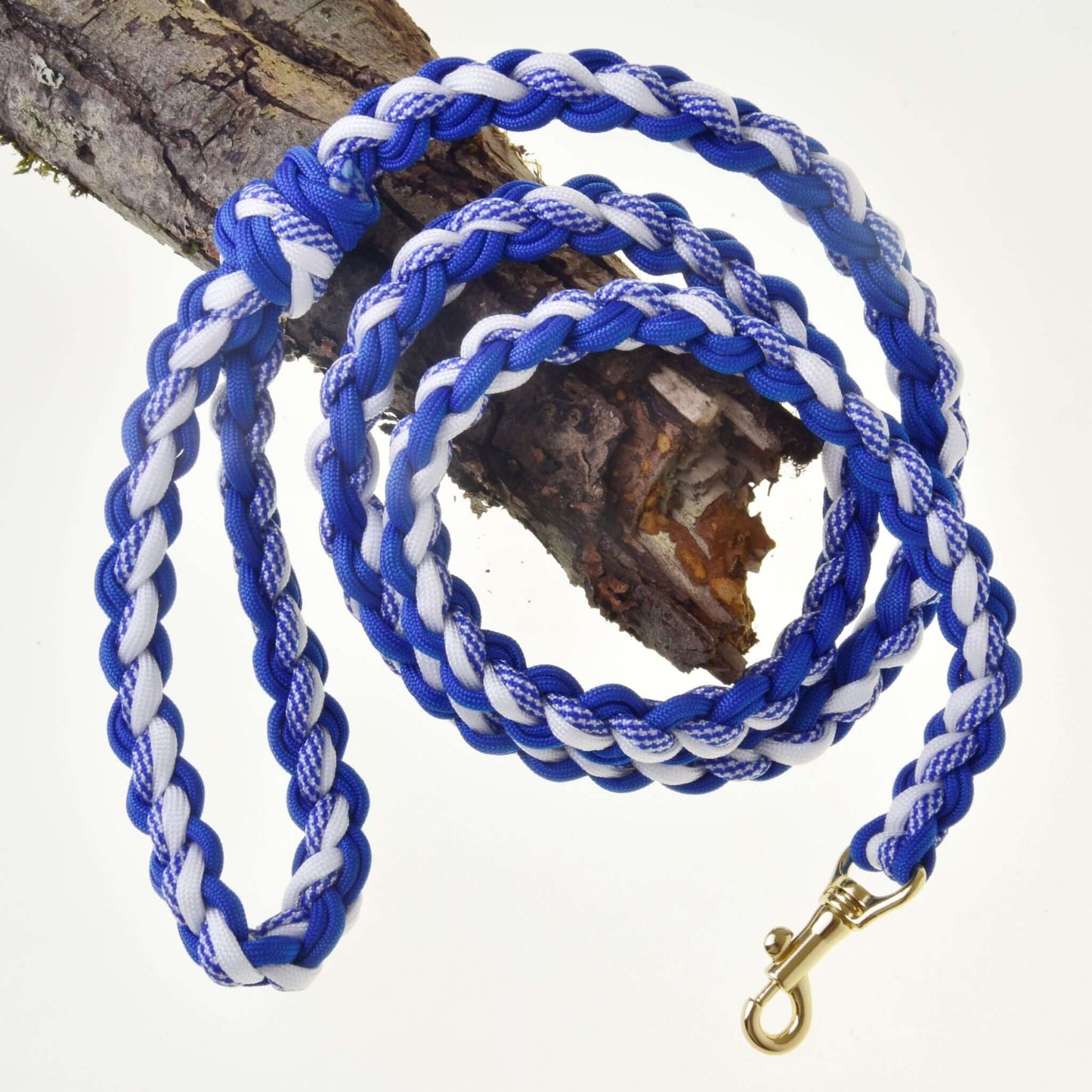 Hobby Horse - longe tressée blanc/bleu de Hobby Horse LarDen, avec mousqueton en laiton, enroulée autour d’une branche d’arbre et présentée sur un fond blanc — idéale pour les activités de Hobby Horse ou comme laisse pour chien.