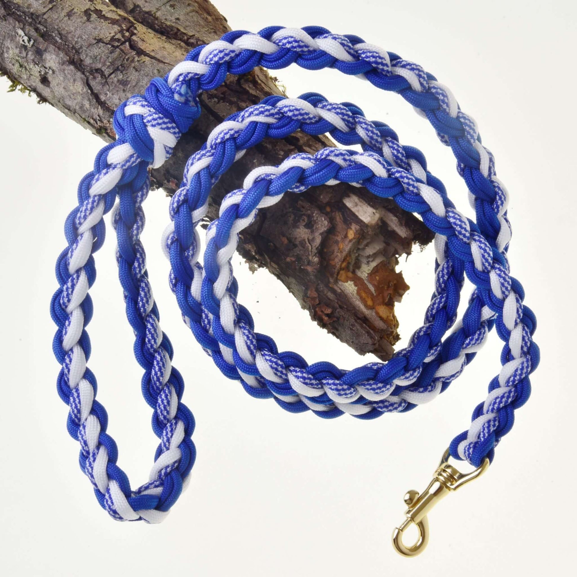 Hobby Horse - longe tressée blanc/bleu