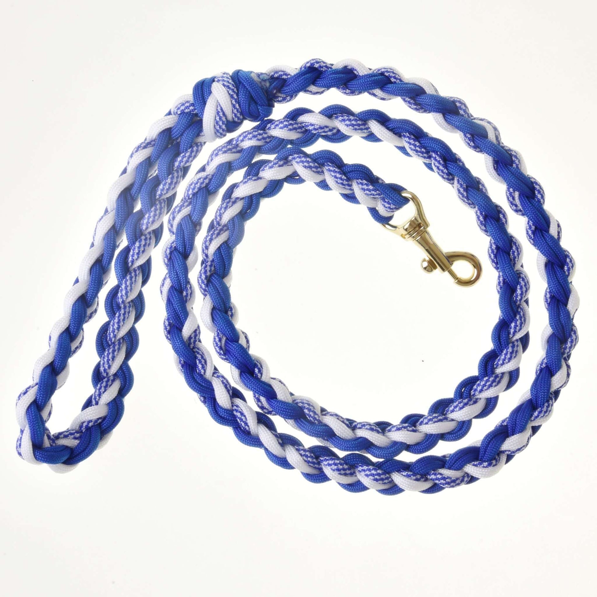 Hobby Horse - longe tressée blanc/bleu