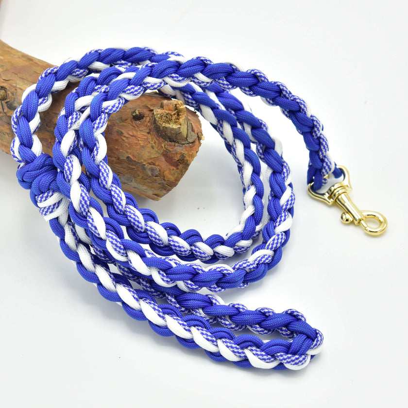 Hobby Horse - longe tressée blanc/bleu