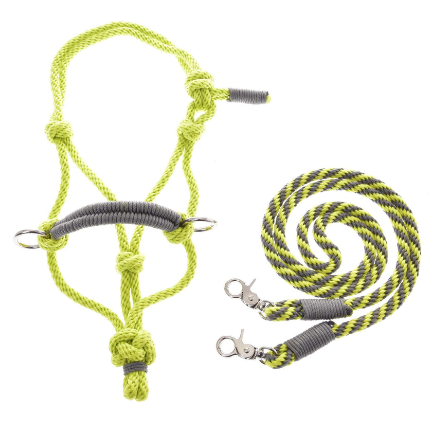 Seilset Lime (Gr. M)