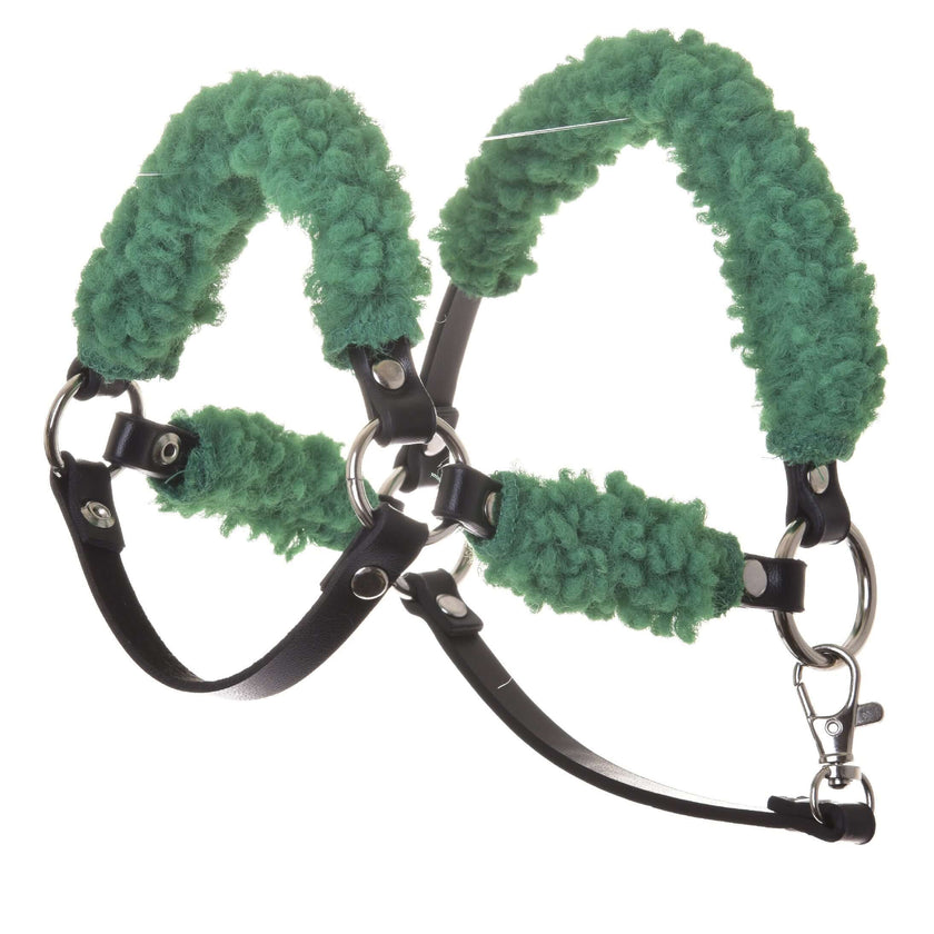 Licou noir avec fourrure verte complète - similicuir