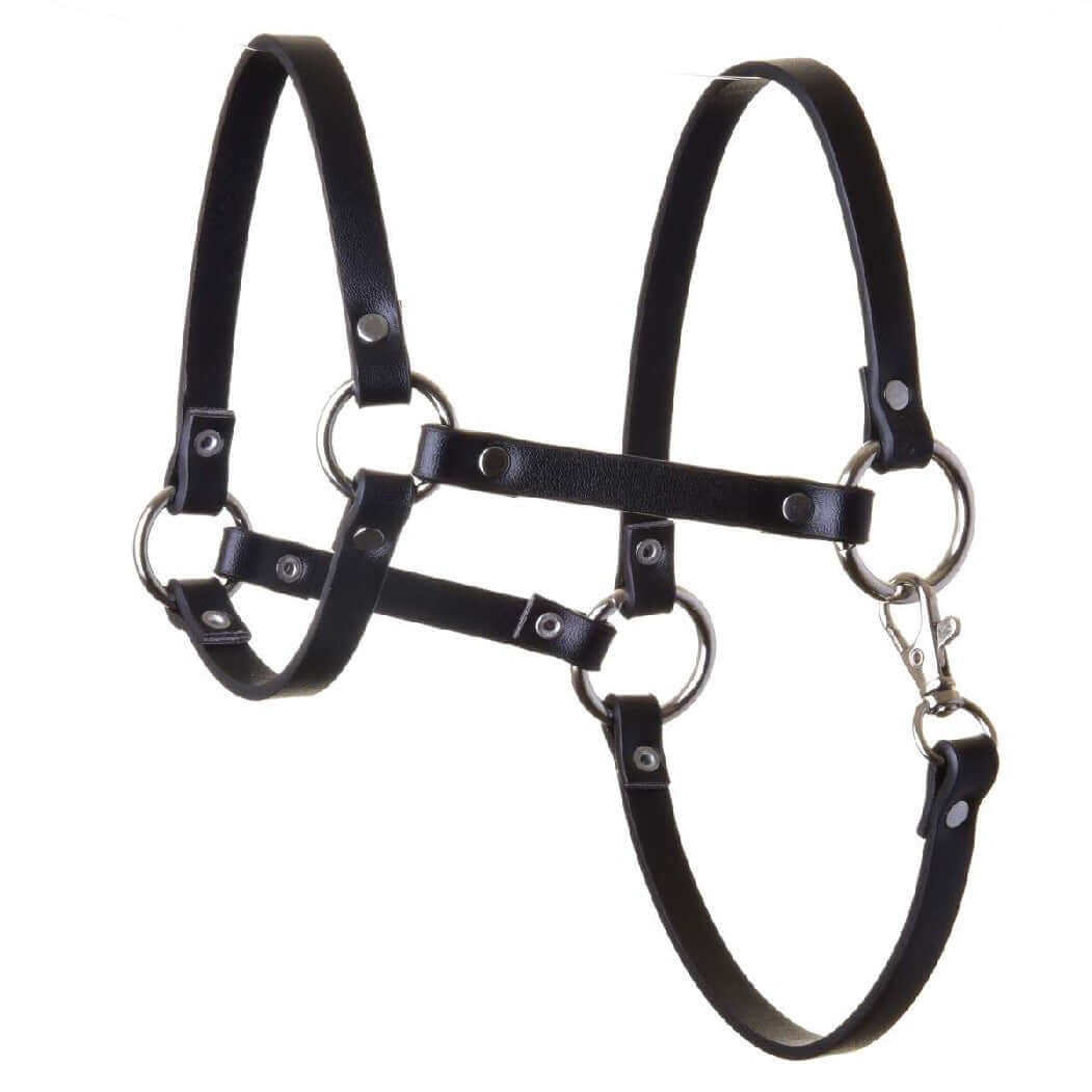Licol - similicuir noir de Hobby Horse LarDen avec anneaux argentés, rivets, sangles réglables et fermeture par mousqueton, idéal comme accessoire pour votre Hobby Horse.