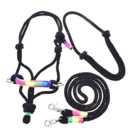 Das Seilset Regenbogen von Hobby Horse LarDen besteht aus einem schwarzen Halfter für Hobby Horse und Führstrick mit Akzenten aus Regenbogenfäden und Metallclips, ideal als Zubehör für Hobby Horse Aktivitäten, gezeigt vor weißem Hintergrund.