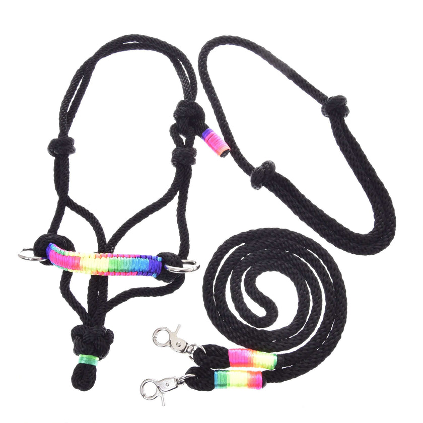 Ensemble de cordes Arc-en-ciel